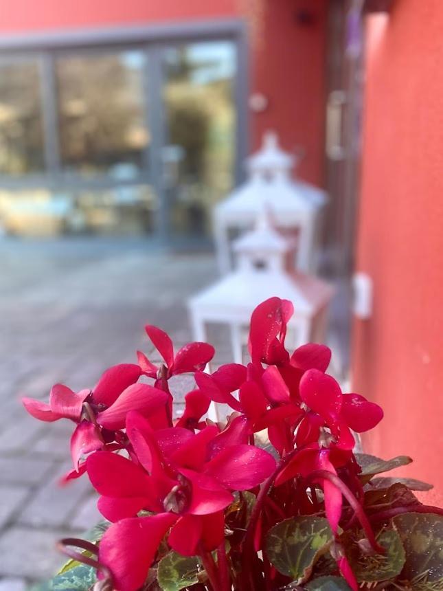 Guest house La Casina Rossa